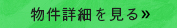 詳細を見る